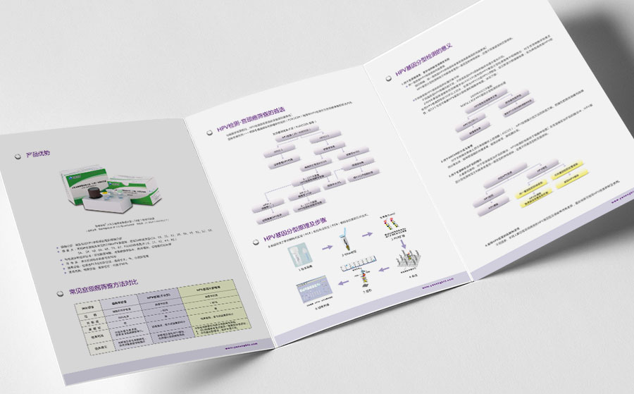 《HPV基因分型檢測(cè)-宮頸癌篩查》產(chǎn)品的三折頁